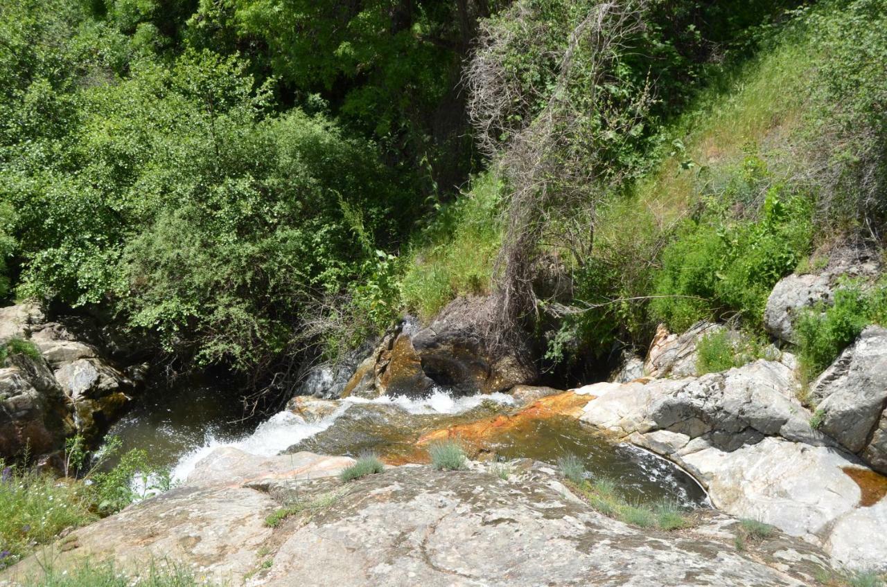 Hotel Rural Luna Llena Torremocha de Jarama Dış mekan fotoğraf