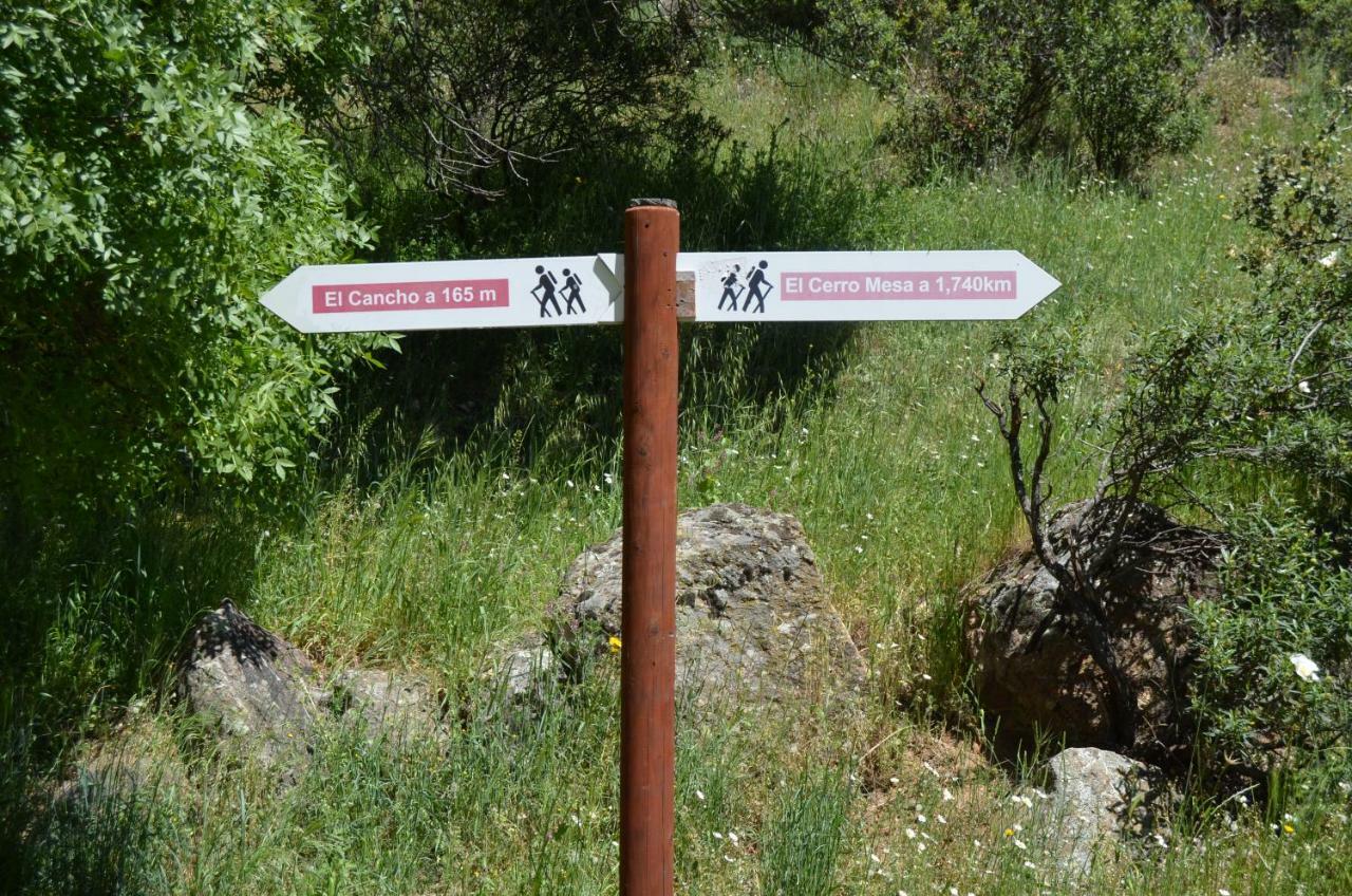 Hotel Rural Luna Llena Torremocha de Jarama Dış mekan fotoğraf